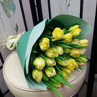 Пионовидные тюльпаны