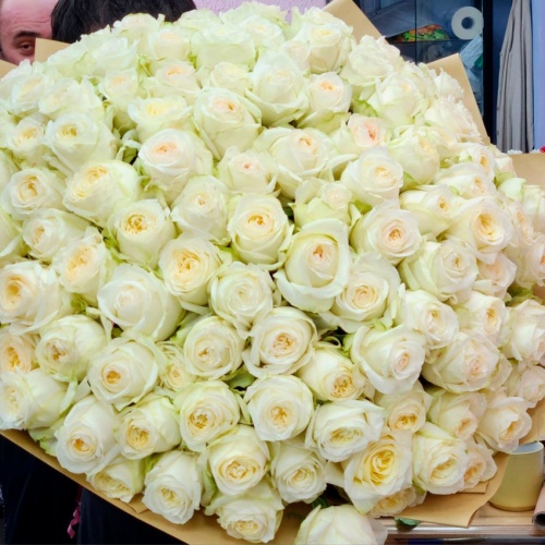 Розы Эквадор Премиум фото 2