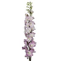 Дельфиниумы лавандовые