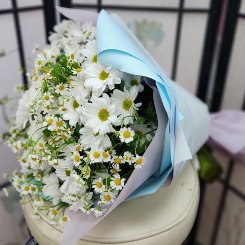 Хризантемы Танацетум