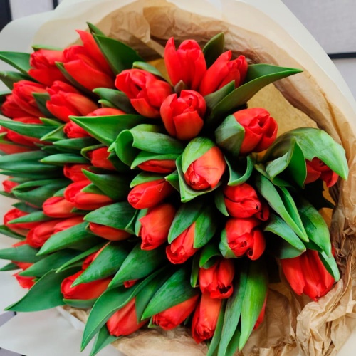 Тюльпаны Красные фото 2 Тюльпаны Красные фото 2