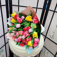 Тюльпаны Микс