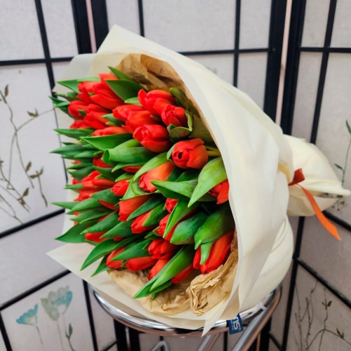 Тюльпаны Красные фото 3 Тюльпаны Красные фото 3