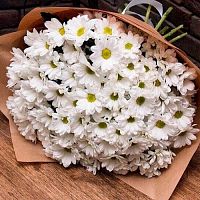 Монобукет из Хризантем