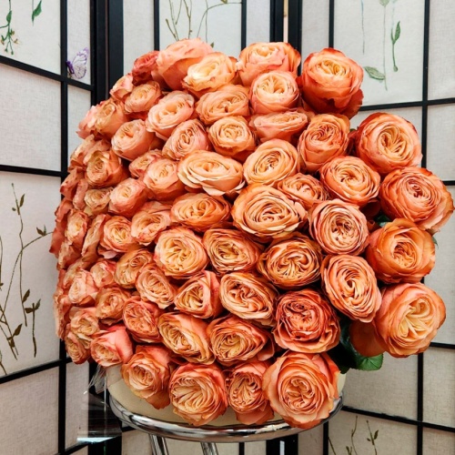 Розы Эквадор Премиум фото 8