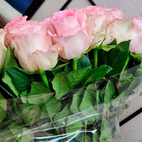 Розы Эквадор Мандала фото 7