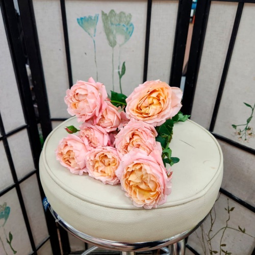 Роза кустовая Дэвида Остина фото 2 Роза кустовая Дэвида Остина фото 2