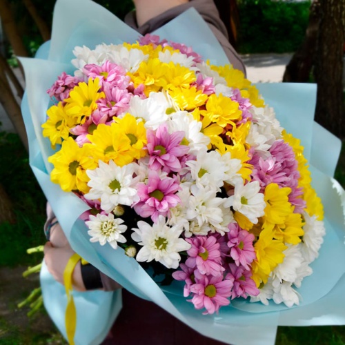 Хризантемы Микс фото 2