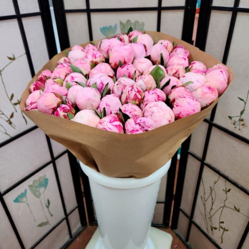 Пионы розовые Голландия фото 4