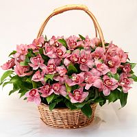 Корзина с Орхидеями