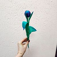 Тюльпан пионовидный синий