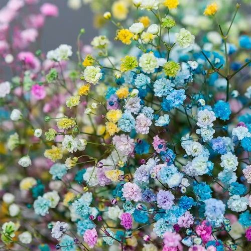 Букет из Гипсофилы фото 2