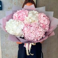 Букет из Гортензий