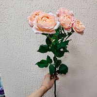 Роза кустовая Дэвида Остина