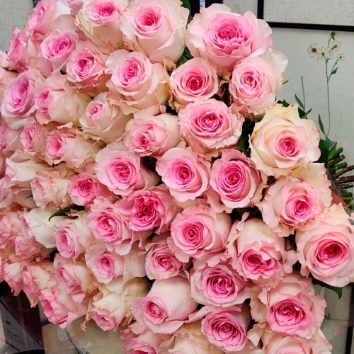 Розы Эквадор Мандала фото 4