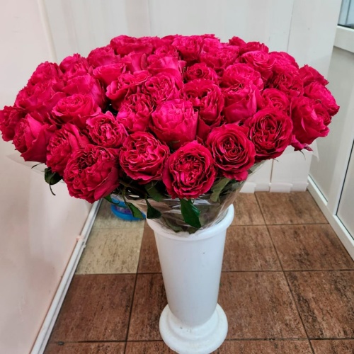 Розы Эквадор Хотспот фото 7