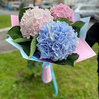 Букет из Гортензий