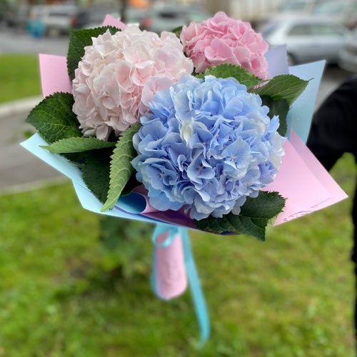 Букет из Гортензий