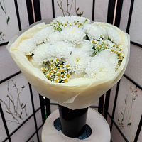 Ромашки Танацетум