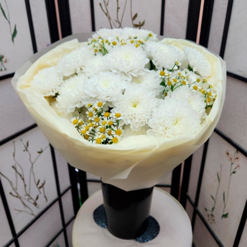 Ромашки Танацетум