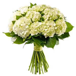 Букет невесты