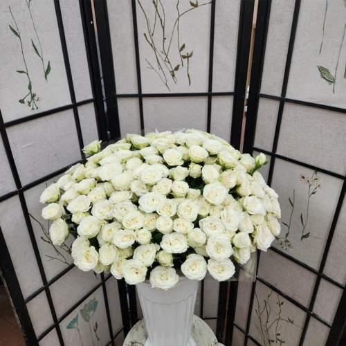 Роза пионовидная кустовая фото 2